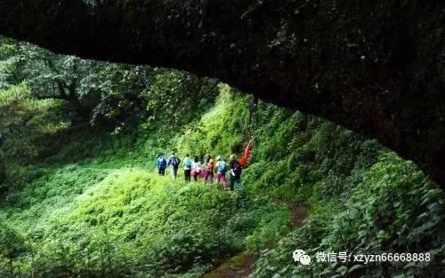 反转!周口联通的“掐网”事件真相曝光